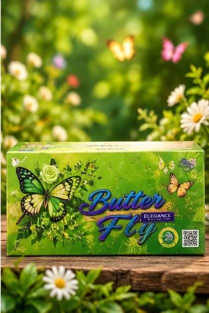 Butterfly